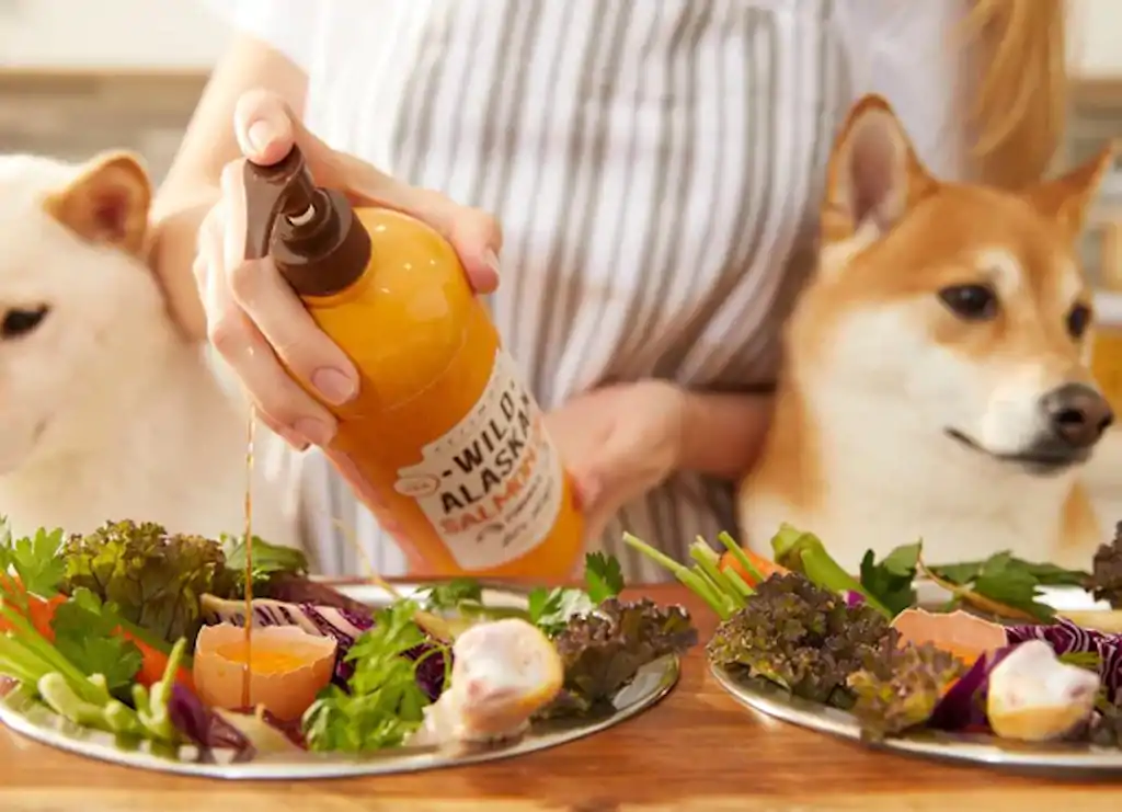 compra aceite de salmón para mejorar la vida de tu perro