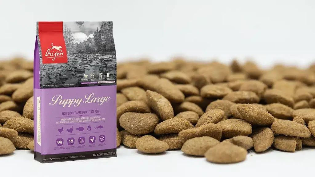 comprar pienso orijen para perros pequeños como el Pomerania