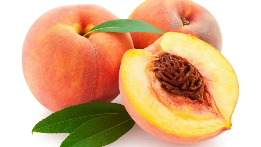 Huesos de frutas de carozo son frutas que no pueden comer los Pomerania