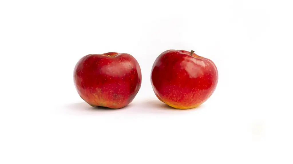 las manzanas son una de las frutas que pueden comer los pomerania